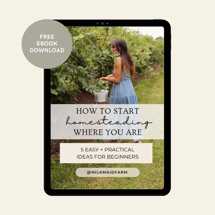 Homesteading Guide: 5 Ways To Start Homesteading