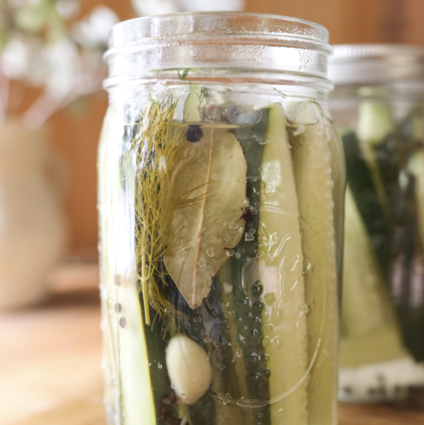 Easy Homemade Pickles Recipe