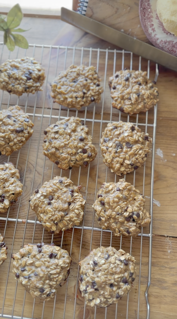 Protein cookie recipe